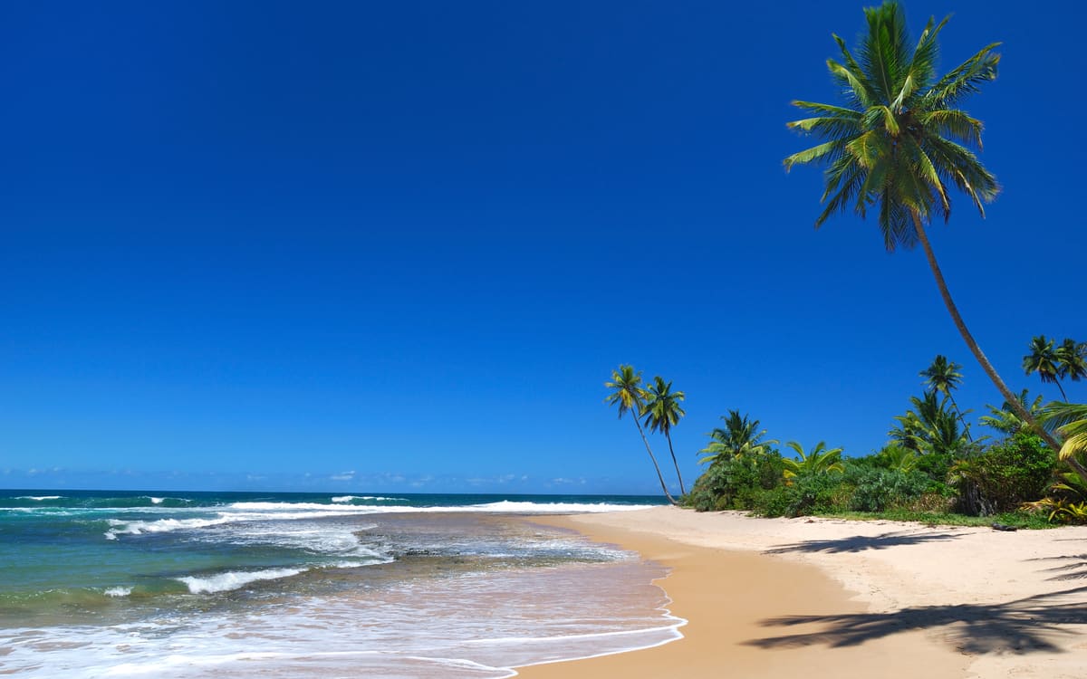 Praia aberta da Península de Maraú com coqueiros inclinados sobre a areia e recife junto à arrebentação.